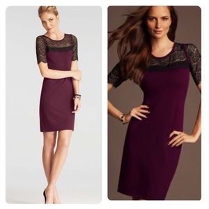 NWT! Ann Taylor Lace Overlay Sweater dress